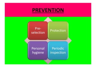PREVENTION
Pre-
selection
Protection
Personal
hygiene
Periodic
inspection
 