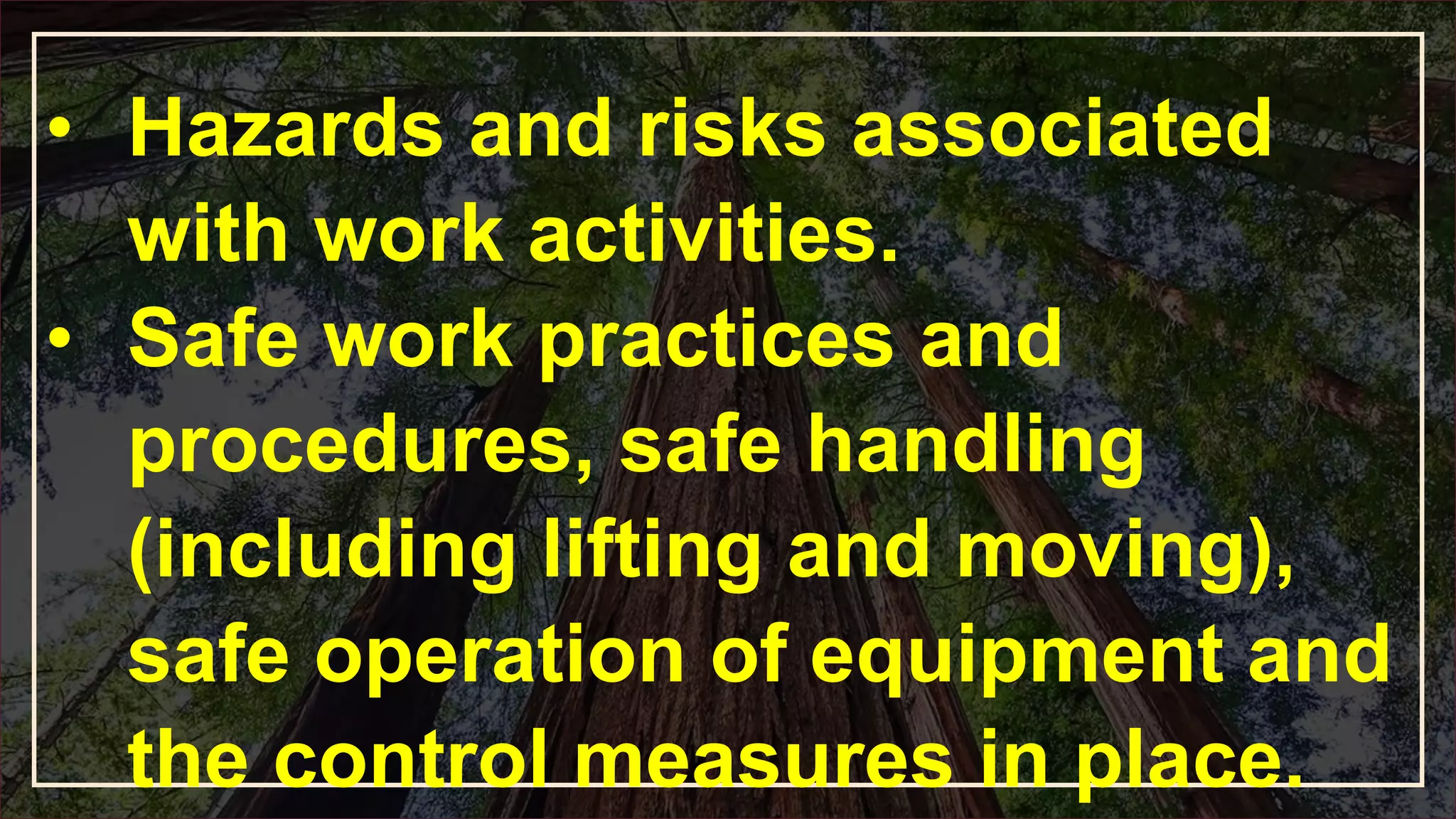 • Hazards and risks associated
with work activities.
• Safe work practices and
procedures, safe handling
(including lifting and moving),
safe operation of equipment and
the control measures in place.
 