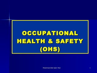 OCCUPATIONAL HEALTH & SAFETY (OHS) 