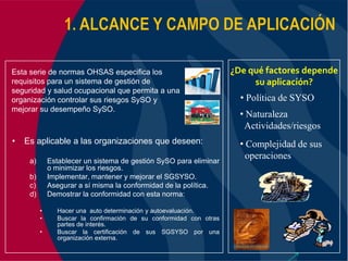 Ohsas 18001:2007 Kcm Consultores