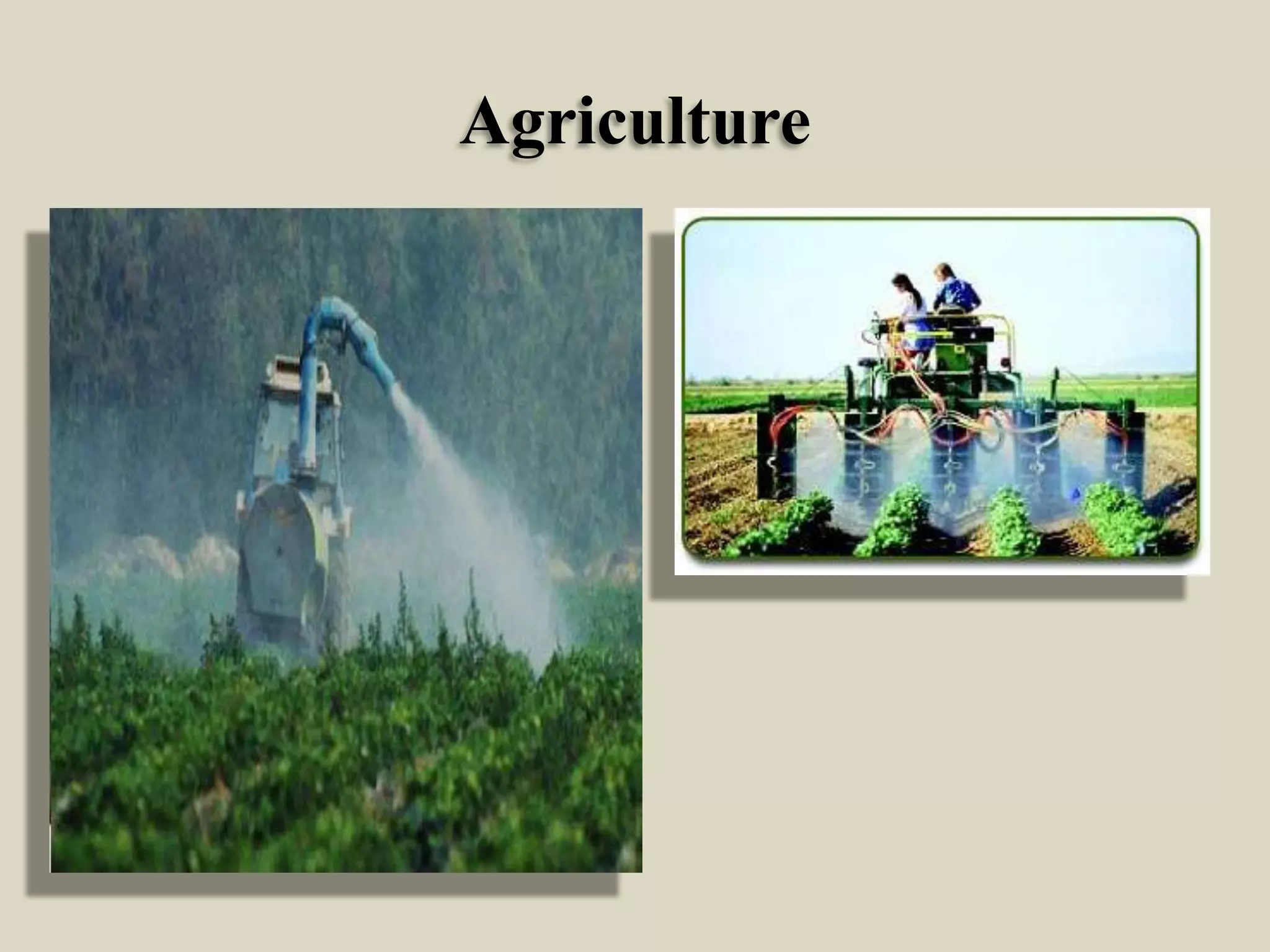 Agriculture

 