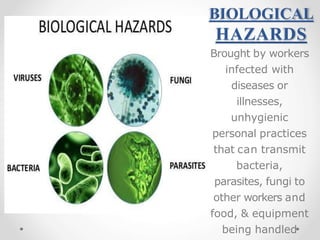 BIOLOGICAL
HAZARDS
Brought by workers
infected with
diseases or
illnesses,
unhygienic
personal practices
that can transmit
bacteria,
parasites, fungi to
other workers and
food, & equipment
being handled
 