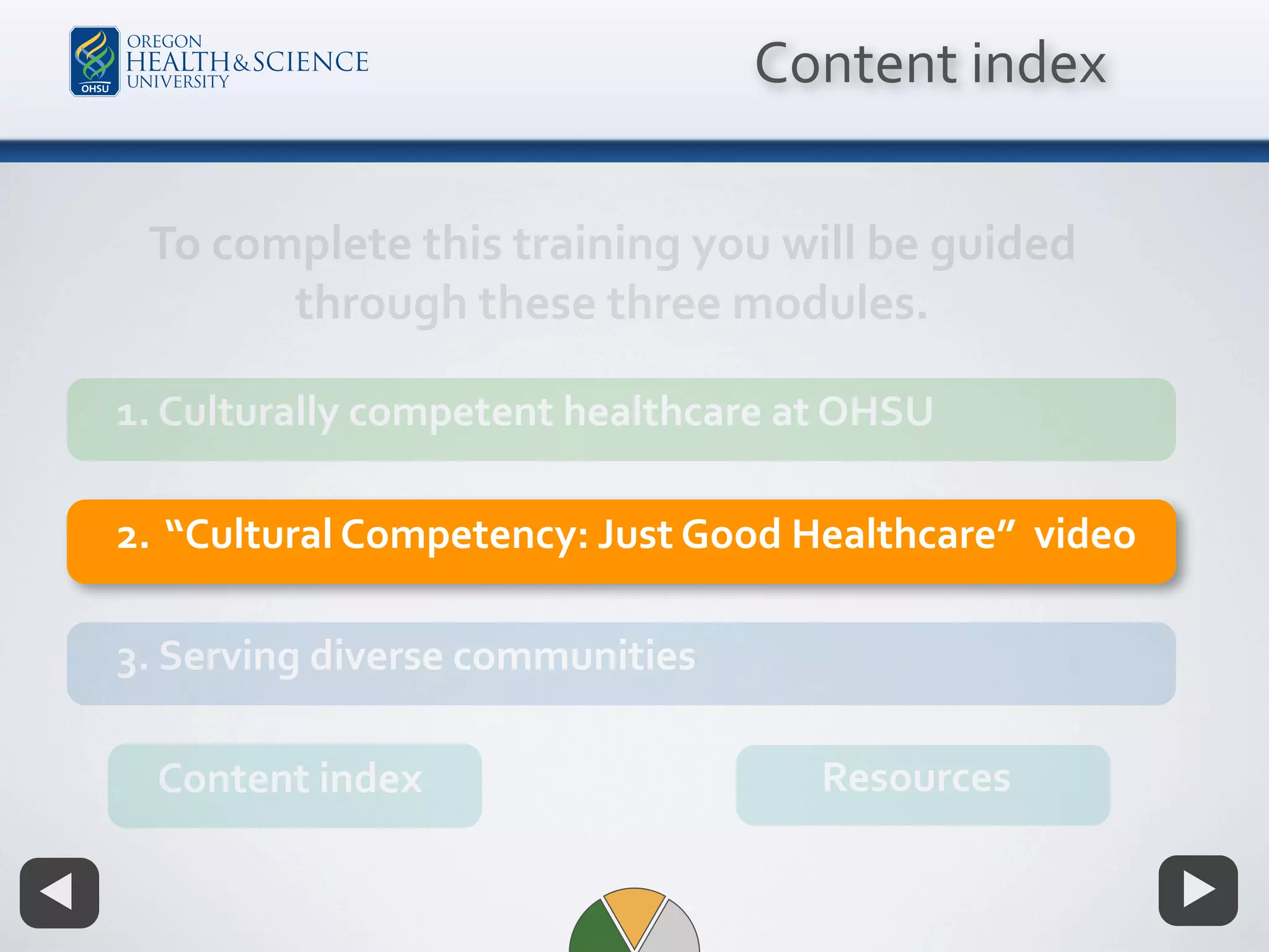 OHSU Cultural Competencies Foundation Course (2008) PPT
