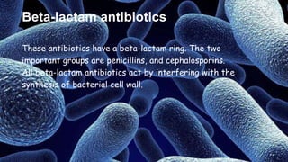Beta-lactam antibiotics
These antibiotics have a beta-lactam ring. The two
important groups are penicillins, and cephalosporins.
All beta-lactam antibiotics act by interfering with the
synthesis of bacterial cell wall.
 