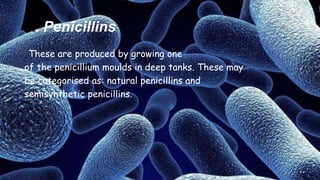 A. Penicillins
These are produced by growing one
of the penicillium moulds in deep tanks. These may
be categorised as: natural penicillins and
semisynthetic penicillins.
 