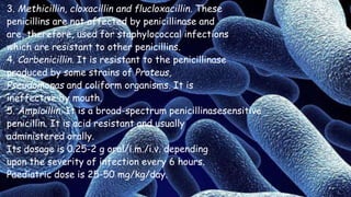 3. Methicillin, cloxacillin and flucloxacillin. These
penicillins are not affected by penicillinase and
are, therefore, used for staphylococcal infections
which are resistant to other penicillins.
4. Carbenicillin. It is resistant to the penicillinase
produced by some strains of Proteus,
Pseudomonas and coliform organisms. It is
ineffective by mouth.
5. Ampicillin. It is a broad-spectrum penicillinasesensitive
penicillin. It is acid resistant and usually
administered orally.
Its dosage is 0.25-2 g oral/i.m./i.v. depending
upon the severity of infection every 6 hours.
Paediatric dose is 25-50 mg/kg/day.
 