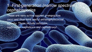 1. First-generation (narrow spectrum)
cephalosporins
These are very active against grampositive
cocci and thus have useful antistaphylococcal
activity. These include cefazolin,
cephradine, cephalexin and cephadroxyl.
 