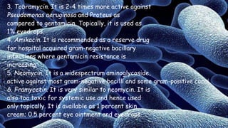 3. Tobramycin. It is 2-4 times more active against
Pseudomonas aeruginosa and Proteus as
compared to gentamicin. Topically, it is used as
1% eyedrops.
4. Amikacin. It is recommended as a reserve drug
for hospital acquired gram-negative bacillary
infections where gentamicin resistance is
increasing.
5. Neomycin. It is a widespectrum aminoglycoside,
active against most gram-negative bacilli and some gram-positive cocci.
6. Framycetin. It is very similar to neomycin. It is
also too toxic for systemic use and hence used
only topically. It is available as 1 percent skin
cream; 0.5 percent eye ointment and eyedrops.
 