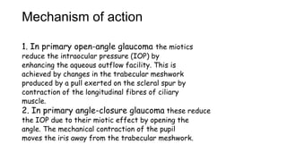 Mechanism of action
1. In primary open-angle glaucoma the miotics
reduce the intraocular pressure (IOP) by
enhancing the aqueous outflow facility. This is
achieved by changes in the trabecular meshwork
produced by a pull exerted on the scleral spur by
contraction of the longitudinal fibres of ciliary
muscle.
2. In primary angle-closure glaucoma these reduce
the IOP due to their miotic effect by opening the
angle. The mechanical contraction of the pupil
moves the iris away from the trabecular meshwork.
 
