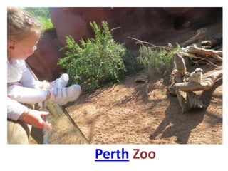 Perth Zoo
 