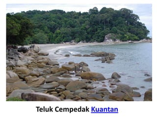 Teluk Cempedak Kuantan
 