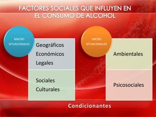 MACRO                         MICRO
SITUACIONALES
                Geográficos   SITUACIONALES


                Económicos                    Ambientales
                Legales


                Sociales
                                              Psicosociales
                Culturales
 