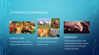 ATIVIDADES ECÓNOMICAS
AGRICULTURA
Produtos Agrícolas: batata,
trigo, cevada e outros cereais.
PRODUÇÃO DE GADO
Pecuária: suínos, bovinos,
ovinos, e aves.
MINERAÇÃO
Os principais produtos são
cobre, minério de ferro, níquel,
turfa, aluminio, carvão, gás
natural e petróleo.
 