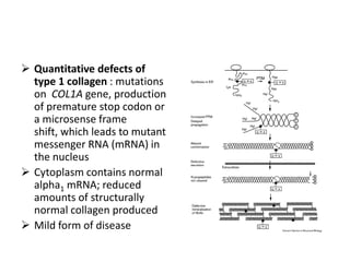  Quantitative defects of
  type 1 collagen : mutations
  on COL1A gene, production
  of premature stop codon or
  a microsense frame
  shift, which leads to mutant
  messenger RNA (mRNA) in
  the nucleus
 Cytoplasm contains normal
  alpha1 mRNA; reduced
  amounts of structurally
  normal collagen produced
 Mild form of disease
 