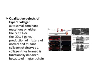  Qualitative defects of
  type 1 collagen:
  autosomal dominant
  mutations on either
  the COL1A or
  the COL1B gene,
  production of mixture of
  normal and mutant
  collagen chainstype 1
  collagen thus formed is
  functionally impaired
  because of mutant chain
 