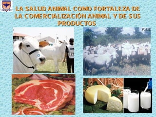 LA SALUD ANIMAL COMO FORTALEZA DE LA COMERCIALIZACIÓN ANIMAL Y DE SUS PRODUCTOS  