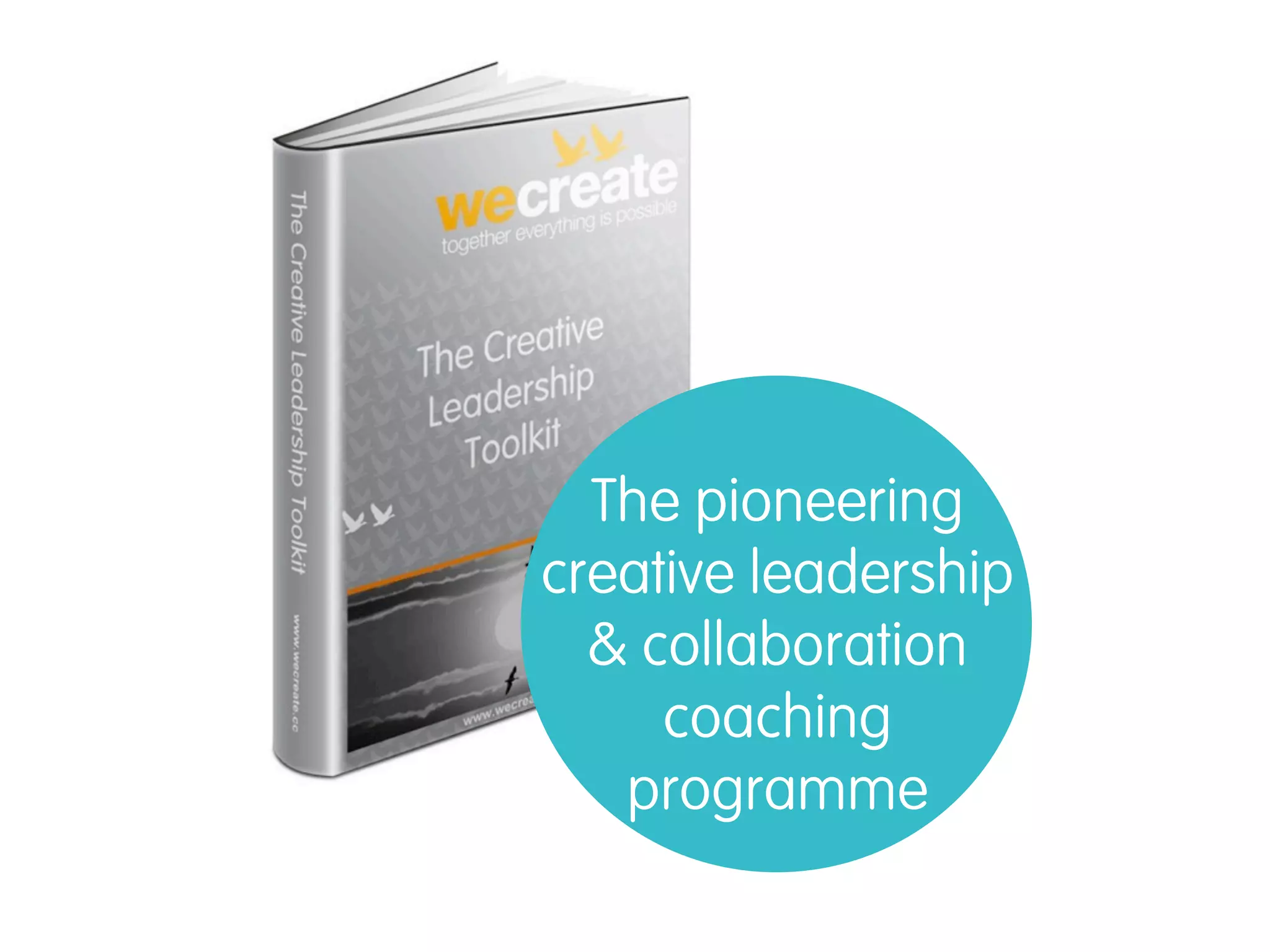 The pioneering
creative leadership
  & collaboration
     coaching
   programme
 
