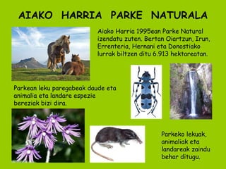 AIAKO  HARRIA  PARKE  NATURALA Aiako Harria 1995ean Parke Natural izendatu zuten. Bertan Oiartzun, Irun, Errenteria, Hernani eta Donostiako lurrak biltzen ditu 6.913 hektareatan. Parkean leku paregabeak daude eta animalia eta landare espezie bereziak bizi dira. Parkeko lekuak, animaliak eta landareak zaindu behar ditugu. 