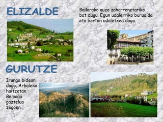 GURUTZE Irungo bidean dago. Arkaleko haitzetan Beloaga gaztelua zegoen. ELIZALDE Bailarako auzo zaharrenetariko bat dugu. Egun udalerriko burua da eta bertan udaletxea dago. 