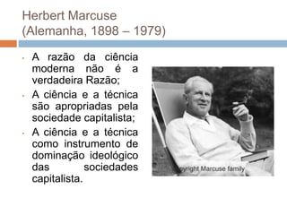 Construir o fenômeno como objeto científico;