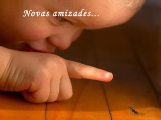 Novas amizades... 