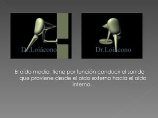 El oído medio, tiene por función conducir el sonido que proviene desde el oído externo hacia el oído interno.  