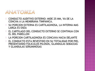    CONDUCTO AUDITIVO EXTERNO: MIDE 25 MM, VA DE LA
    CONCHA A LA MEMBRANA TIMPANICA.
   SU PORCION EXTERNA ES CARTILAGINOSA, LA INTERNA MAS
    LARGA ES OSEA
   EL CARTILAGO DEL CONDUCTO EXTERNO SE CONTINUA CON
    EL DEL PABELLON
   LA PORCION CARTILAGINOSA ES CONCAVA HACIA DELANTE
   EL CONDUCTO ESTA REVESTIDO EN SU TOTALIDAD POR PIEL
    PRESENTANDO FOLICULOS PILOSOS, GLANDULAS SEBACEAS
    Y GLANDULAS SERUMINOSAS
 