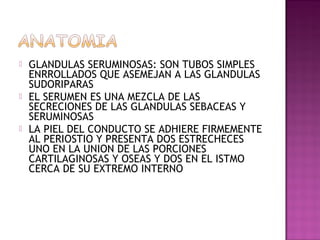    GLANDULAS SERUMINOSAS: SON TUBOS SIMPLES
    ENRROLLADOS QUE ASEMEJAN A LAS GLANDULAS
    SUDORIPARAS
   EL SERUMEN ES UNA MEZCLA DE LAS
    SECRECIONES DE LAS GLANDULAS SEBACEAS Y
    SERUMINOSAS
   LA PIEL DEL CONDUCTO SE ADHIERE FIRMEMENTE
    AL PERIOSTIO Y PRESENTA DOS ESTRECHECES
    UNO EN LA UNION DE LAS PORCIONES
    CARTILAGINOSAS Y OSEAS Y DOS EN EL ISTMO
    CERCA DE SU EXTREMO INTERNO
 