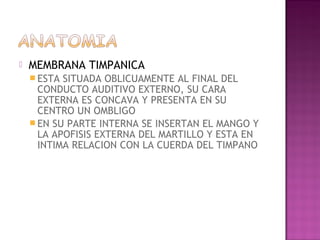    MEMBRANA TIMPANICA
     ESTA SITUADA OBLICUAMENTE AL FINAL DEL
      CONDUCTO AUDITIVO EXTERNO, SU CARA
      EXTERNA ES CONCAVA Y PRESENTA EN SU
      CENTRO UN OMBLIGO
     EN SU PARTE INTERNA SE INSERTAN EL MANGO Y
      LA APOFISIS EXTERNA DEL MARTILLO Y ESTA EN
      INTIMA RELACION CON LA CUERDA DEL TIMPANO
 