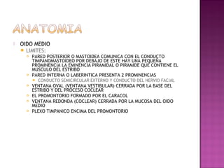   OIDO MEDIO
       LIMITES:
           PARED POSTERIOR O MASTOIDEA COMUNICA CON EL CONDUCTO
            TIMPANOMASTOIDEO POR DEBAJO DE ESTE HAY UNA PEQUEÑA
            PROMINENCIA LA EMINENCIA PIRAMIDAL O PIRAMIDE QUE CONTIENE EL
            MUSCULO DEL ESTRIBO
           PARED INTERNA O LABERINTICA PRESENTA 2 PROMINENCIAS
               CONDUCTO SEMICIRCULAR EXTERNO Y CONDUCTO DEL NERVIO FACIAL
           VENTANA OVAL (VENTANA VESTIBULAR) CERRADA POR LA BASE DEL
            ESTRIBO Y DEL PROCESO COCLEAR
           EL PROMONTORIO FORMADO POR EL CARACOL
           VENTANA REDONDA (COCLEAR) CERRADA POR LA MUCOSA DEL OIDO
            MEDIO
           PLEXO TIMPANICO ENCIMA DEL PROMONTORIO
 