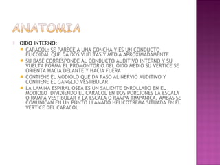    OIDO INTERNO:
       CARACOL: SE PARECE A UNA CONCHA Y ES UN CONDUCTO
        ELICOIDAL QUE DA DOS VUELTAS Y MEDIA APROXIMADAMENTE
       SU BASE CORRESPONDE AL CONDUCTO AUDITIVO INTERNO Y SU
        VUELTA FORMA EL PROMONTORIO DEL OIDO MEDIO SU VERTICE SE
        ORIENTA HACIA DELANTE Y HACIA FUERA
       CONTIENE EL MODIOLO QUE DA PASO AL NERVIO AUDITIVO Y
        CONTIENE EL GANGLIO VESTIBULAR
       LA LAMINA ESPIRAL OSEA ES UN SALIENTE ENROLLADO EN EL
        MODIOLO DIVIDIENDO EL CARACOL EN DOS PORCIONES LA ESCALA
        O RAMPA VESTIBULAR Y LA ESCALA O RAMPA TIMPANICA. AMBAS SE
        COMUNICAN EN UN PUNTO LLAMADO HELICOTREMA SITUADA EN EL
        VERTICE DEL CARACOL
 