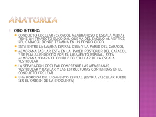    OIDO INTERNO:
       CONDUCTO COCLEAR (CARACOL MEMBRANOSO O ESCALA MEDIA)
        TIENE UN TRAYECTO ELICOIDAL QUE VA DEL SACULO AL VERTICE
        DEL CARACOL DONDE TERMINA EN UN FONDO CIEGO
       ESTA ENTRE LA LAMINA ESPIRAL OSEA Y LA PARED DEL CARACOL
       MEMBRANA BASILAR ESTA EN LA PARED POSTERIOR DEL CARACOL
        Y SE FIJA AL ENDOSTIO POR EL LIGAMENTO ESPIRAL. ESTA
        MEMBRANA SEPARA EL CONDUCTO COCLEAR DE LA ESCALA
        VESTIBULAR
       LA SEPARACION COCLEAR COMPRENDE LAS MEMBRANAS
        VESTIBULAR Y BASILAR Y LAS ESTRUCTURAS CONTENIDAS EN EL
        CONDUCTO COCLEAR
       UNA PORCION DEL LIGAMENTO ESPIRAL (ESTRIA VASCULAR PUEDE
        SER EL ORIGEN DE LA ENDOLINFA)
 