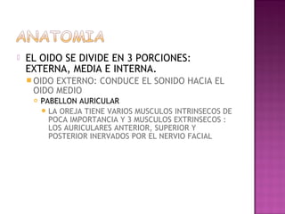    EL OIDO SE DIVIDE EN 3 PORCIONES:
    EXTERNA, MEDIA E INTERNA.
     OIDOEXTERNO: CONDUCE EL SONIDO HACIA EL
     OIDO MEDIO
        PABELLON AURICULAR
          LA OREJA TIENE VARIOS MUSCULOS INTRINSECOS DE
           POCA IMPORTANCIA Y 3 MUSCULOS EXTRINSECOS :
           LOS AURICULARES ANTERIOR, SUPERIOR Y
           POSTERIOR INERVADOS POR EL NERVIO FACIAL
 