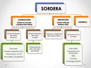 SORDERA
CONDUCCIÓN

PERCEPCIÓN

(oyen su voz por
conducción ósea)

(oyen mal por
ambas vías)

Enfermedades
del oído
externo

Enfermedades
del oído
medio

Cerumen

Otoesclerosis
(25 y 50 años
de edad)

Cuerpos extraños (2-5)

Infecciones (4-15)
Anomalías congénitas

Aplasia congénita
del oído interno

HISTERICA

Lesiones en la
cóclea

Meningitis
Rubeola en el
embarazo
Sífilis
Tumores
Aminoglucósidos

 