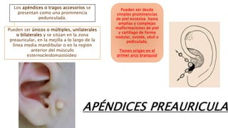 Pueden ser únicos o múltiples, unilaterales
o bilaterales y se sitúan en la zona
preauricular, en la mejilla a lo largo de la
línea media mandibular o en la región
anterior del músculo
esternocleidomastoideo
Los apéndices o tragos accesorios se
presentan como una prominencia
pedunculada.
Pueden ser desde
simples prominencias
de piel excesiva hasta
amplias y complejas
malformaciones de piel
y cartílago de forma
nodular, ovoide, sésil o
pediculada.
Tienen origen en el
primer arco branquial
APÉNDICES PREAURICULAR
 
