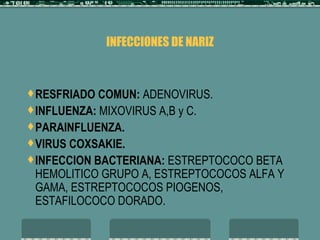 oido | PPT