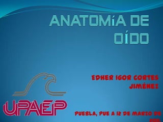  anatomía de OÍDO Edher Igor Cortes Jiménez Puebla, Pue a 12 de marzo de 2011. 