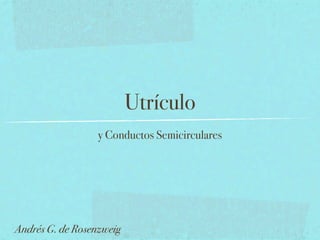 Utrículo
                  y Conductos Semicirculares




Andrés G. de Rosenzweig
 