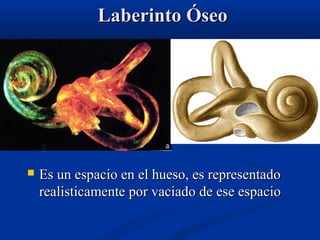 Laberinto Óseo



Es un espacio en el hueso, es representado
realisticamente por vaciado de ese espacio

 