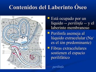 Contenidos del Laberinto Óseo






Está ocupado por un
líquido -- perilinfa -- y el
laberinto membranoso
Perilinfa asemeja al
lúquido extracelular (Na+
es el ión predominante)
Fibras extracelulares
sostienen el espacio
perilifático
perilinfa

 