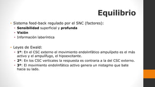 Equilibrio
• Sistema feed-back regulado por el SNC (factores):
• Sensibilidad superficial y profunda
• Visión
• Información laberíntica
• Leyes de Ewald:
• 1º: En el CSC externo el movimiento endolinfático ampulípeto es el más
activo y el ampulífugo, el hipoexcitante.
• 2º: En los CSC verticales la respuesta es contraria a la del CSC externo.
• 3º: El movimiento endolinfático activo genera un nistagmo que bate
hacia su lado.
 