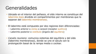 Generalidades
• Ubicado en el interior del peñasco, el oído interno se constituye del
laberinto óseo dividido en compartimentos por membranas que lo
separan del laberinto membranoso.
• El laberinto está compuesto por dos regiones bien diferenciadas:
• Laberinto anterior o cóclea o caracol (receptor auditivo)
• Laberinto posterior o vestíbulo (órgano del equilibrio)
• Canalis reuniens: comunica sistemas del equilibrio y del oído
(laberinto membranoso), donde se une el sáculo con la
prolongación basal de la rampa media o coclear.
 