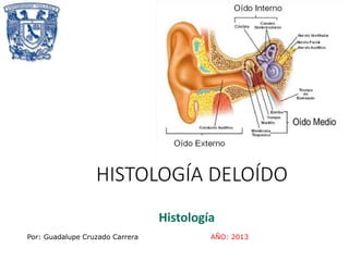 HISTOLOGÍA DELOÍDO
Histología
Por: Guadalupe Cruzado Carrera AÑO: 2013
 
