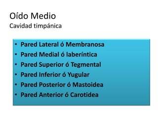 Oído Medio
Cavidad timpánica
• Pared Lateral ó Membranosa
• Pared Medial ó laberíntica
• Pared Superior ó Tegmental
• Pared Inferior ó Yugular
• Pared Posterior ó Mastoidea
• Pared Anterior ó Carotidea
 