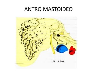 ANTRO MASTOIDEO
 