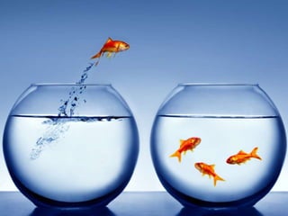 w w w. c u i d a r d e i d o s o s . c o m . b r
 