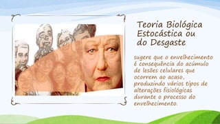 Teoria Biológica
Estocástica ou
do Desgaste
sugere que o envelhecimento
é consequência do acúmulo
de lesões celulares que
ocorrem ao acaso,
produzindo vários tipos de
alterações fisiológicas
durante o processo do
envelhecimento.
 