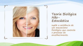 Teoria Biológica
Não-
Estocástica
supõe a existência de
um mecanismo
fisiológico que controla
o processo do
envelhecimento.
 