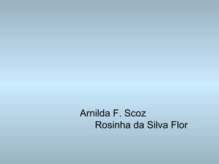 Arnilda F. Scoz Rosinha da Silva Flor 