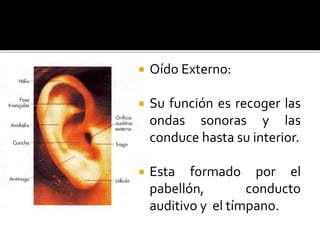  Oído Externo:
 Su función es recoger las
ondas sonoras y las
conduce hasta su interior.
 Esta formado por el
pabellón, conducto
auditivo y el tímpano.
 